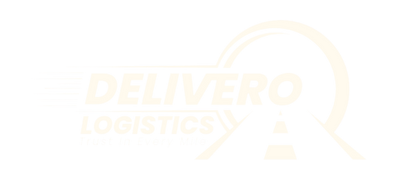Footer Logo